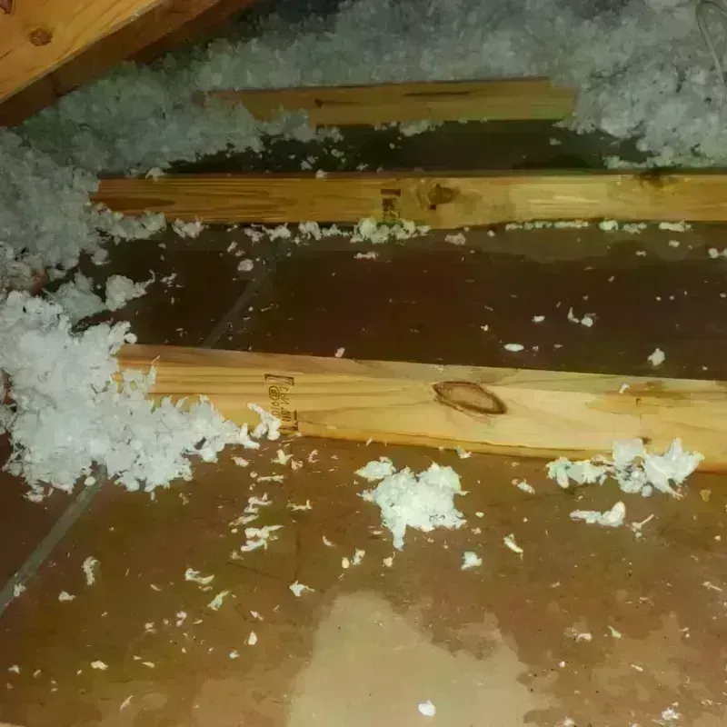 Attic Water Damage in Marietta, GA